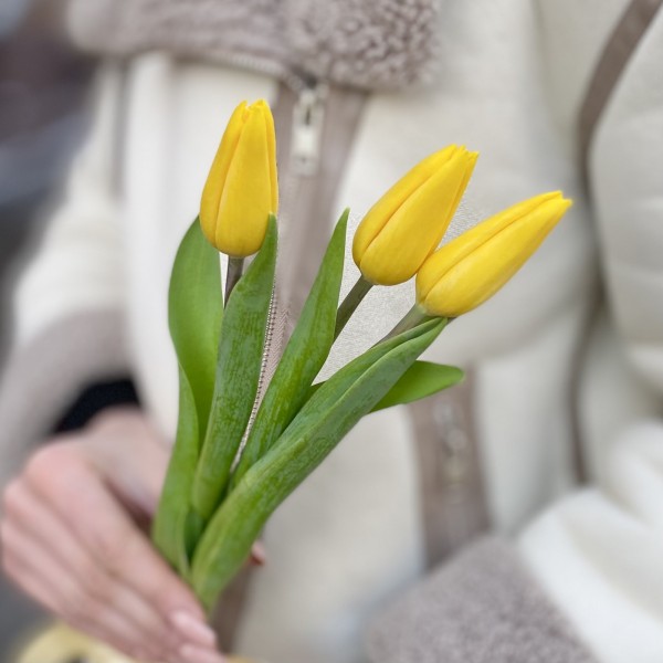 3 желтых тюльпана с лентой