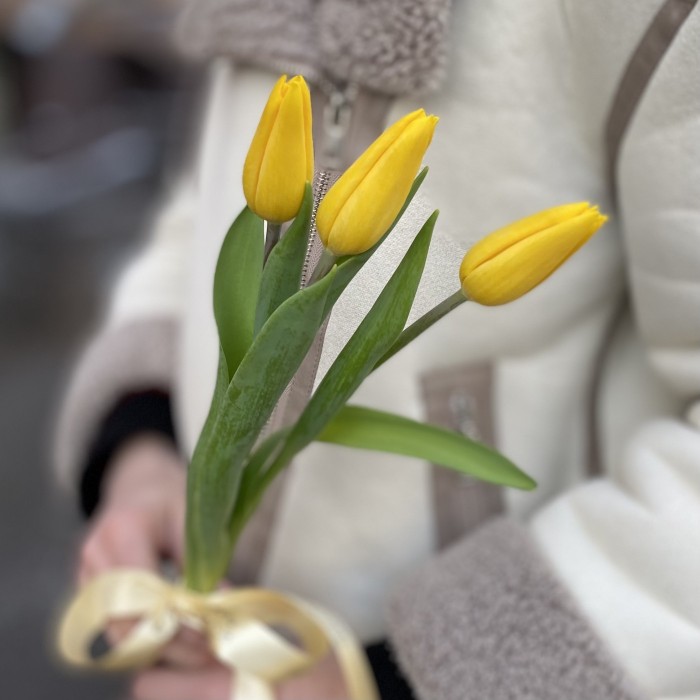 3 желтых тюльпана с лентой