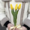 3 желтых тюльпана с лентой