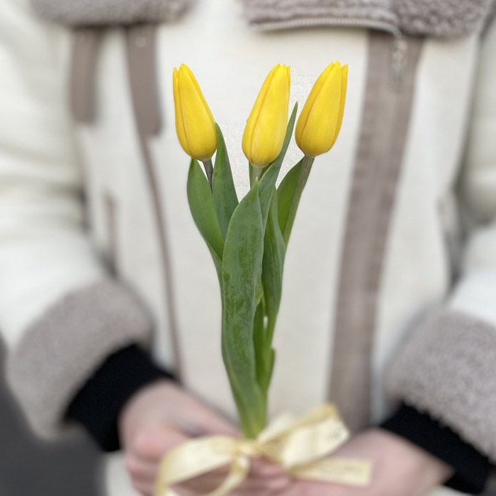 3 желтых тюльпана с лентой