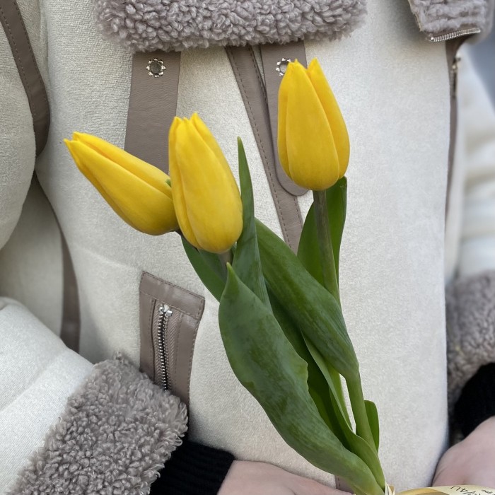 3 желтых тюльпана с лентой