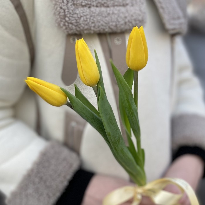3 желтых тюльпана с лентой