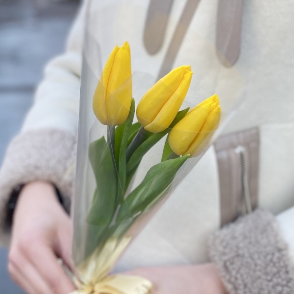 3 желтых тюльпана в пленке