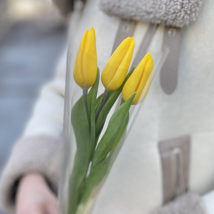 3 желтых тюльпана в пленке