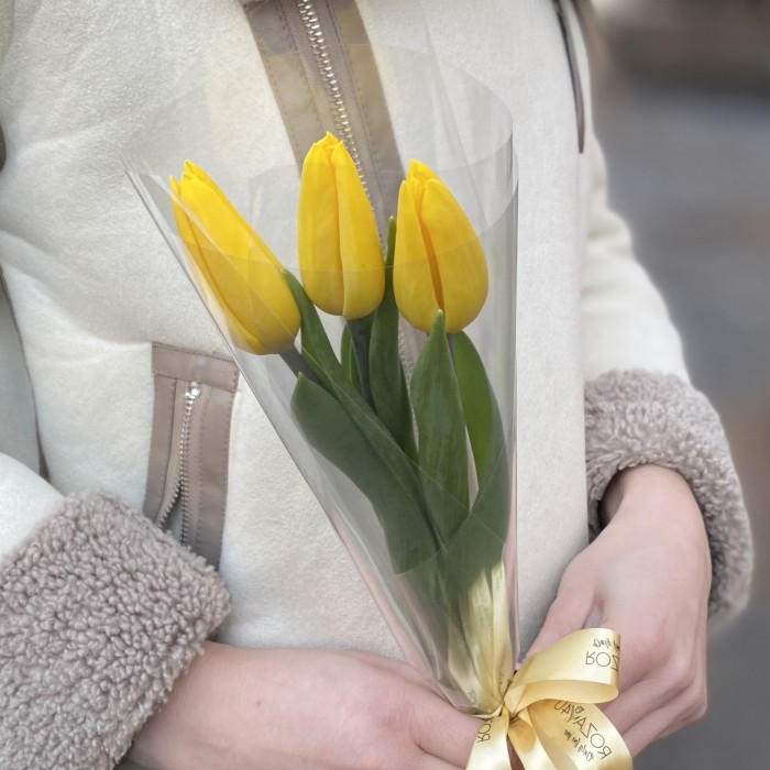 3 желтых тюльпана в пленке