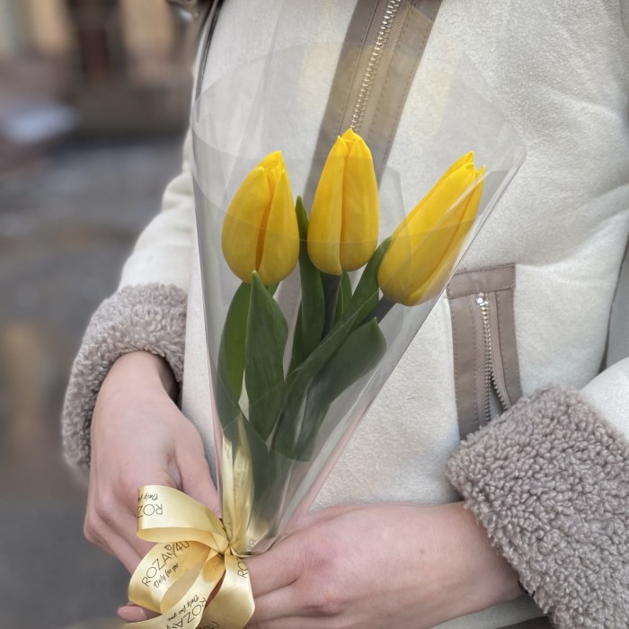 3 желтых тюльпана в пленке