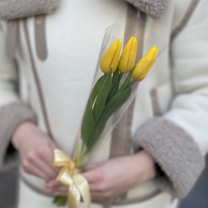 3 желтых тюльпана в пленке