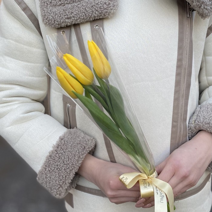 3 желтых тюльпана в пленке