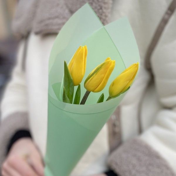 3 желтых тюльпана в упаковке
