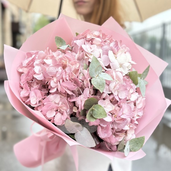 3 жемчужно-розовые гортензии с эвкалиптом