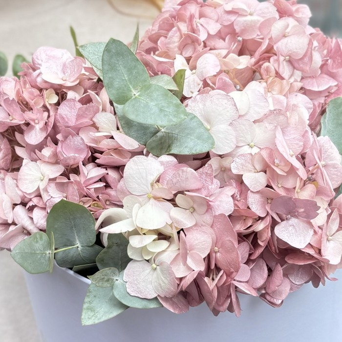 3 жемчужно-розовые гортензии с эвкалиптом в коробке