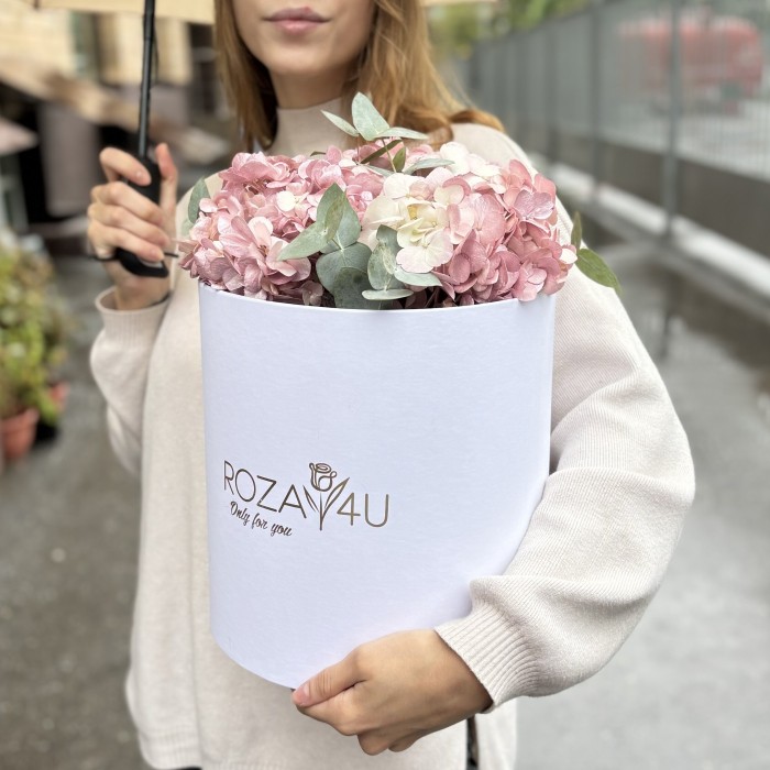 3 жемчужно-розовые гортензии с эвкалиптом в коробке