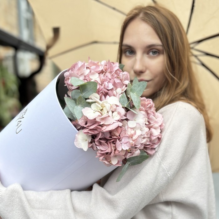 3 жемчужно-розовые гортензии с эвкалиптом в коробке