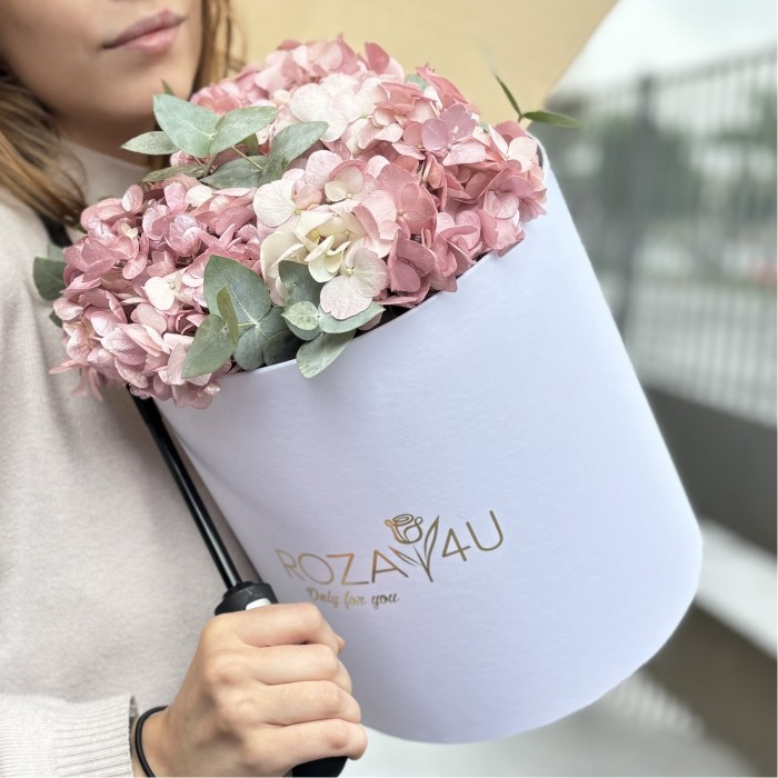 3 жемчужно-розовые гортензии с эвкалиптом в коробке