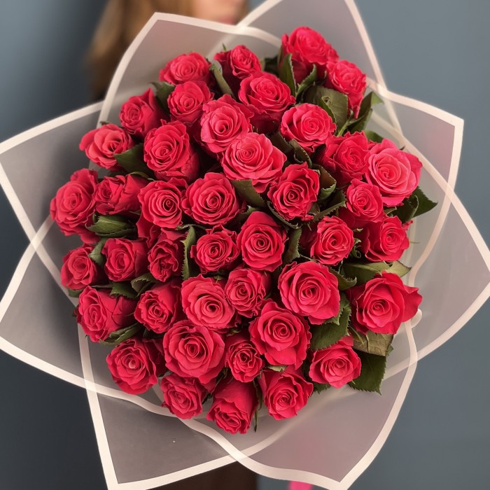 41 малиновая роза Такаци 50 см