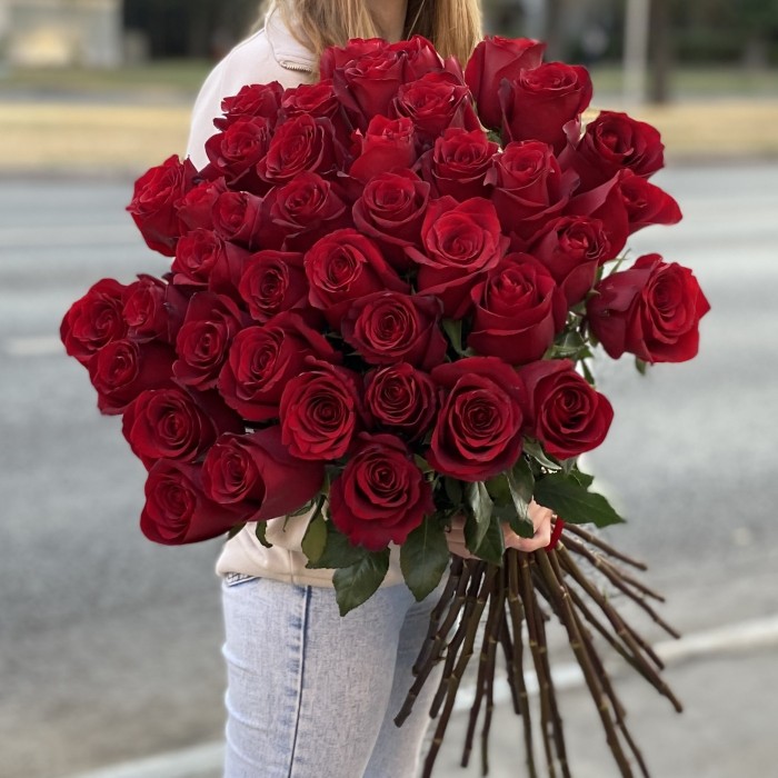 41 красная роза Эксплорер 80 см