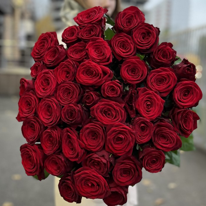 45 красных роз 80 см на юбилей