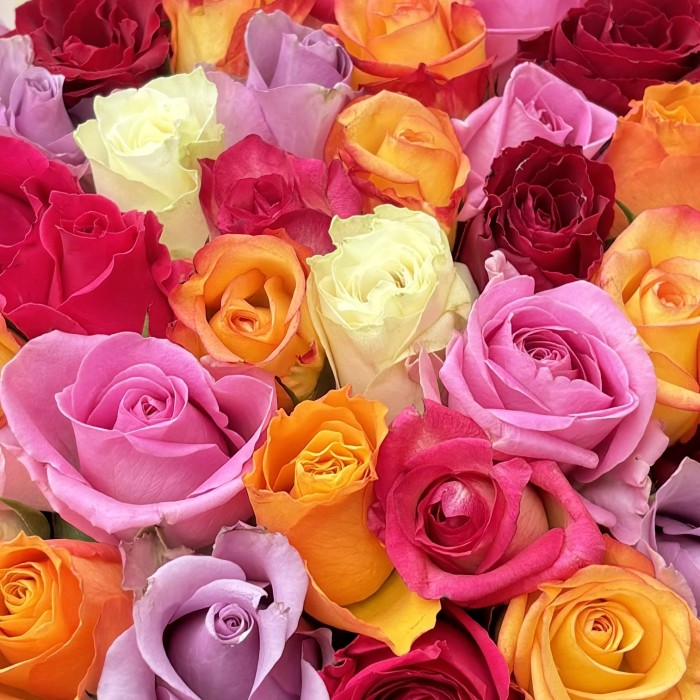 45  роз в коробке яркий  микс