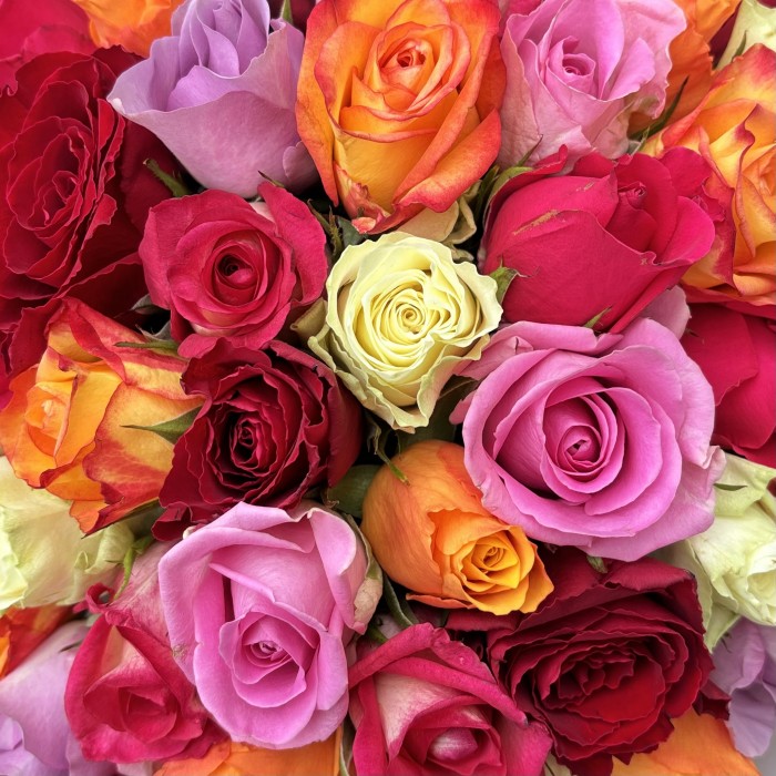 45 роз яркий микс в упаковке
