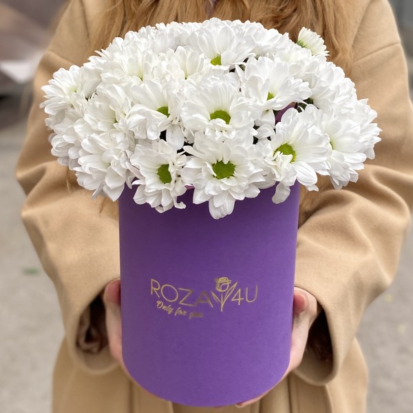 5 белых хризантем в коробке