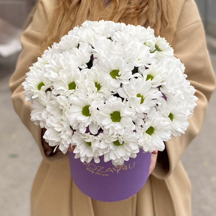 5 белых хризантем в коробке