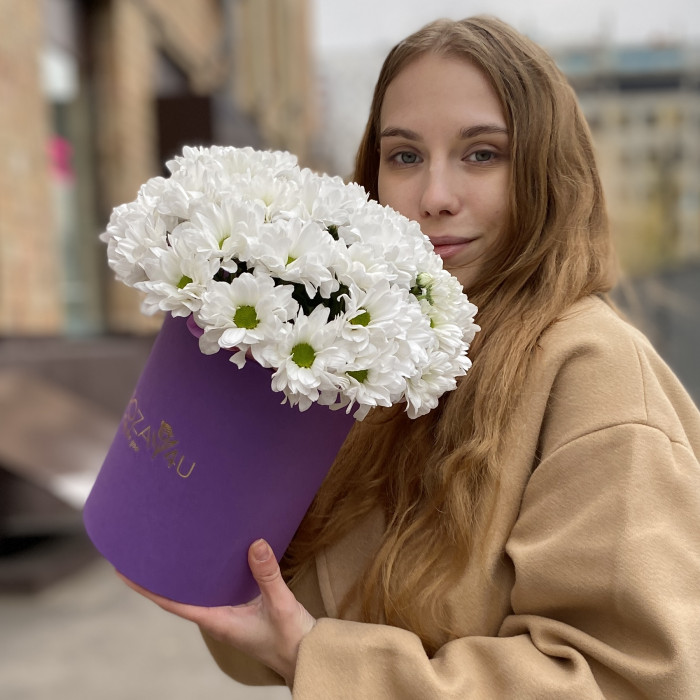 5 белых хризантем в коробке