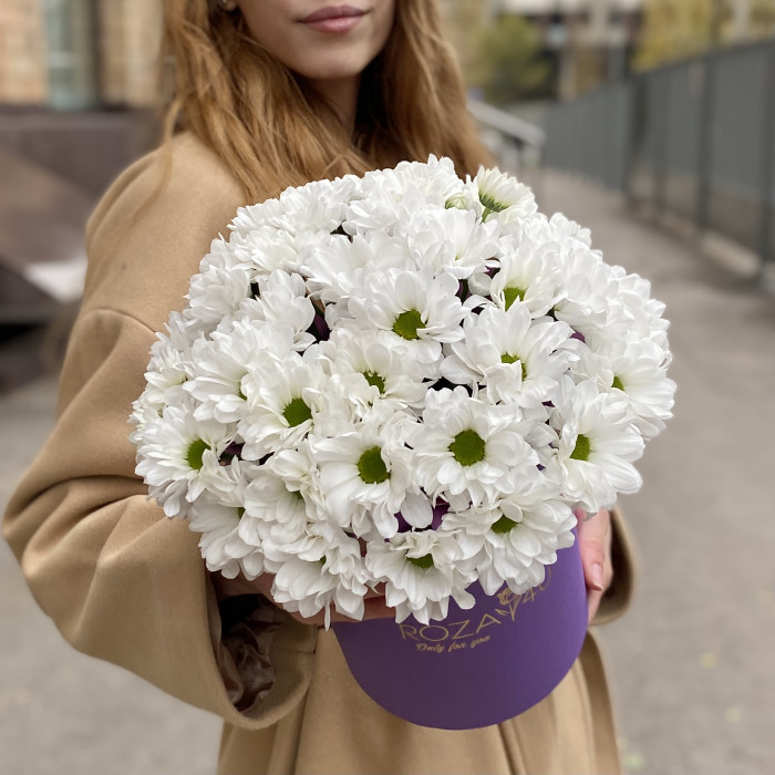 5 белых хризантем в коробке
