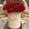 5 бордовых хризантем в коробке