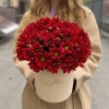 5 бордовых хризантем в коробке