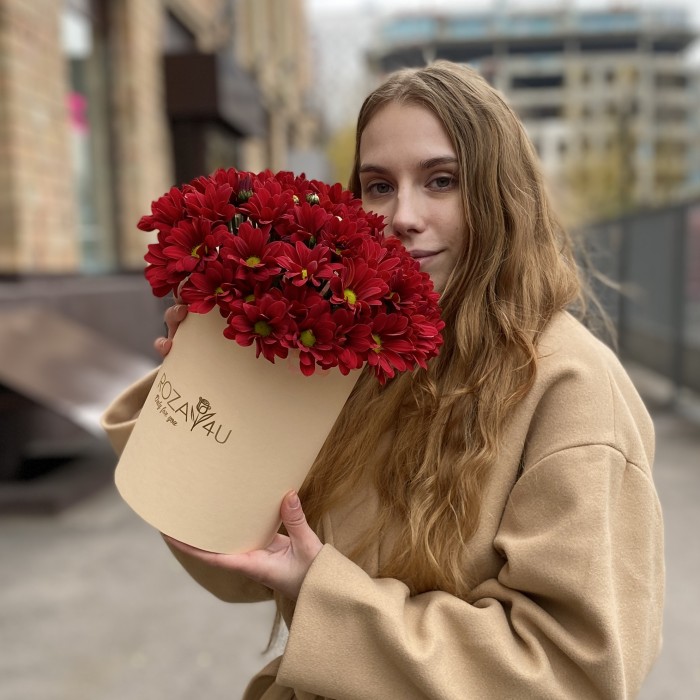 5 бордовых хризантем в коробке