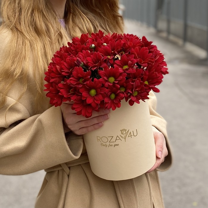 5 бордовых хризантем в коробке