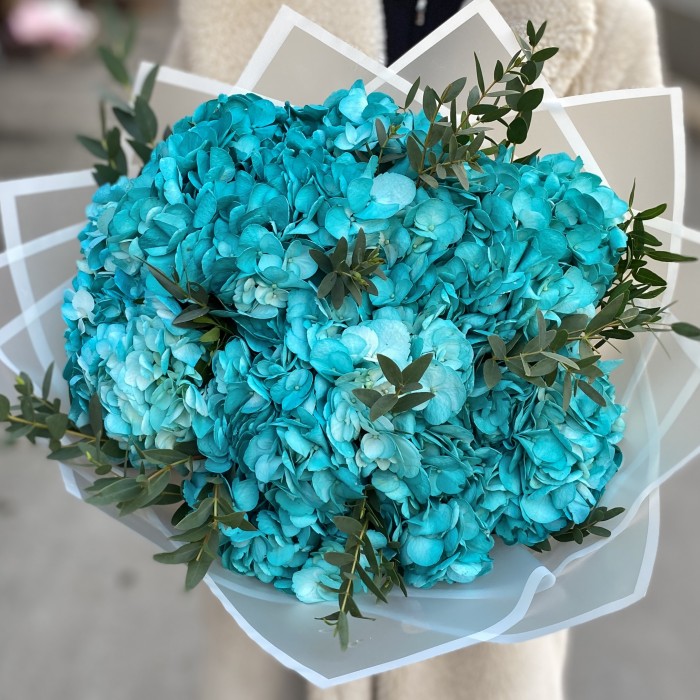 5 голубых гортензий с эвкалиптом