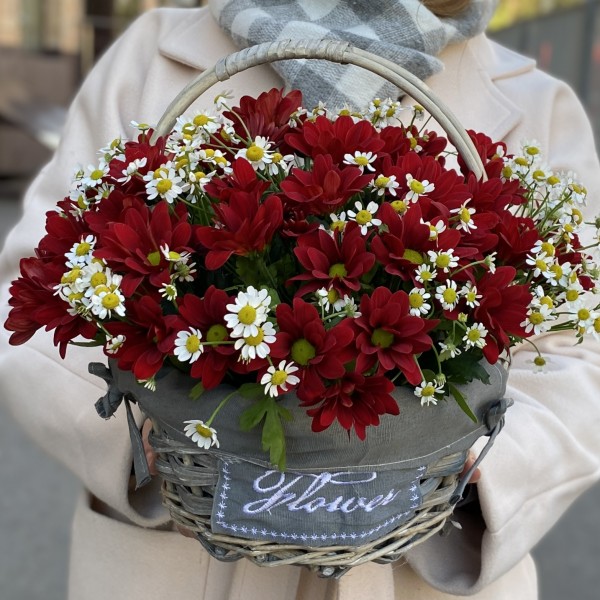 5 красных кустовых хризантем с ромашкой в корзине