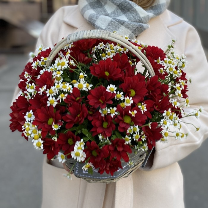 5 красных кустовых хризантем с ромашкой в корзине