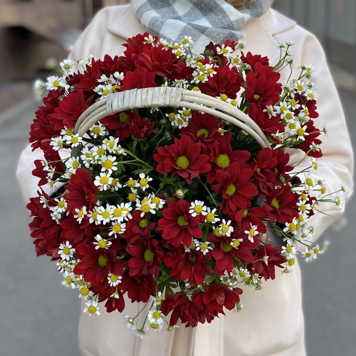 5 красных кустовых хризантем с ромашкой в корзине