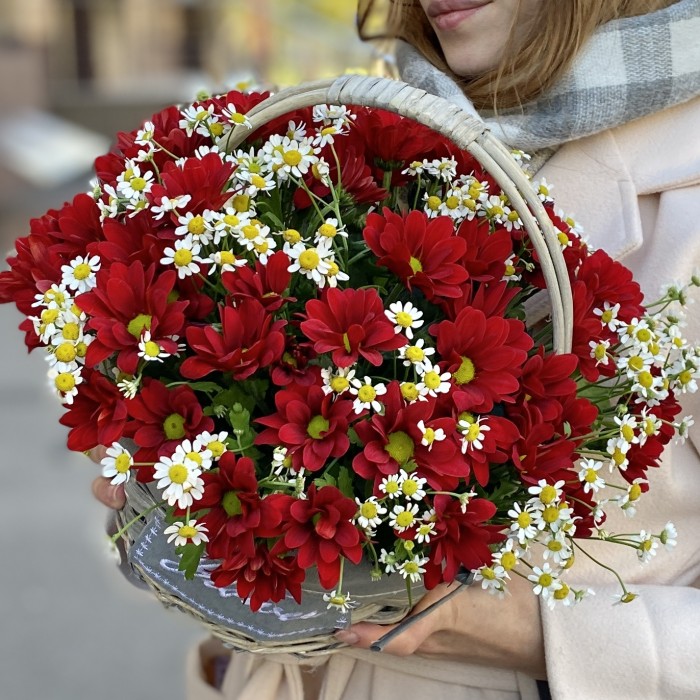 5 красных кустовых хризантем с ромашкой в корзине