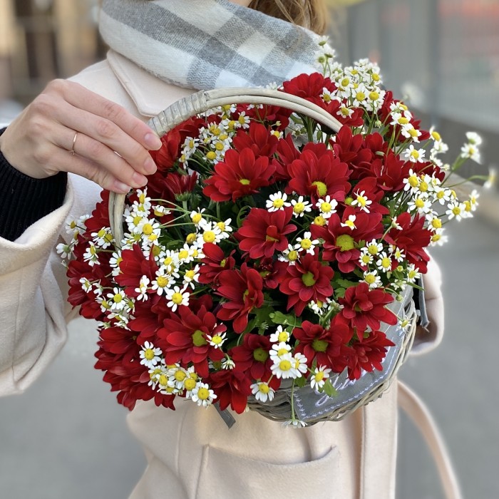 5 красных кустовых хризантем с ромашкой в корзине