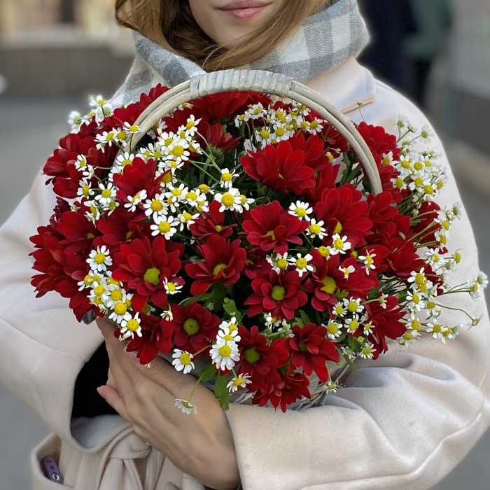 5 красных кустовых хризантем с ромашкой в корзине