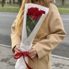 5 красных роз Эвер Ред 60 см