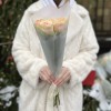 5 кремовых пионовидных роз Гравити