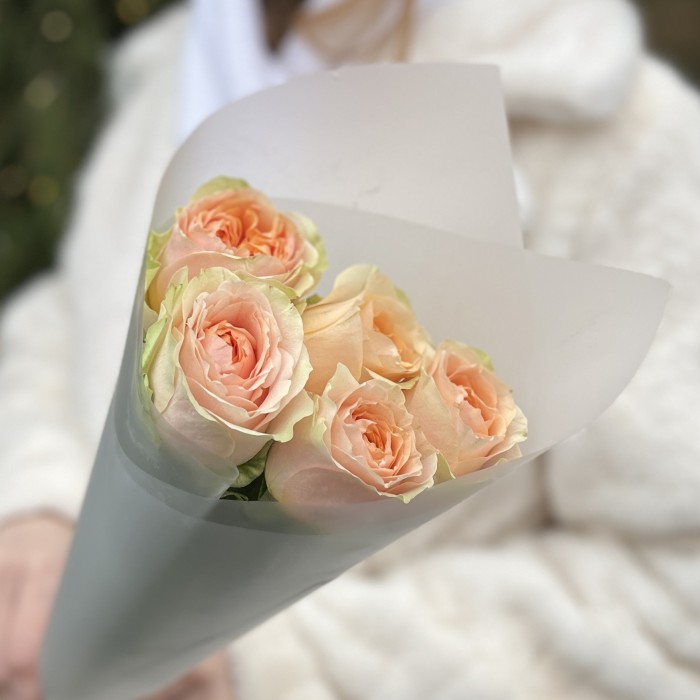 5 кремовых пионовидных роз Гравити