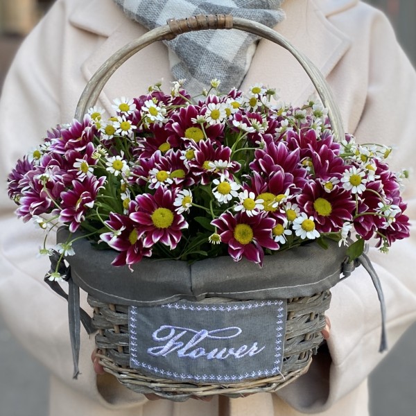 5 кустовых хризантем Хайдар Пинк с ромашкой в корзине