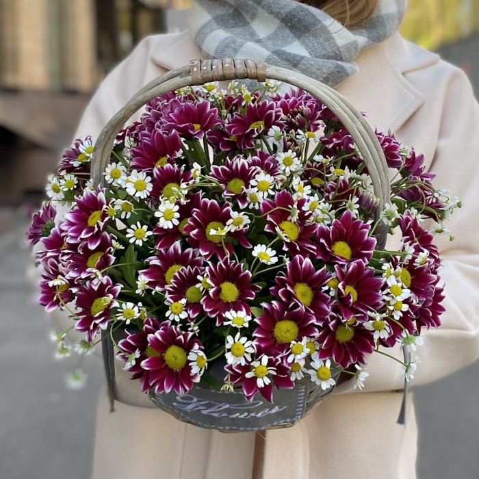 5 кустовых хризантем Хайдар Пинк с ромашкой в корзине