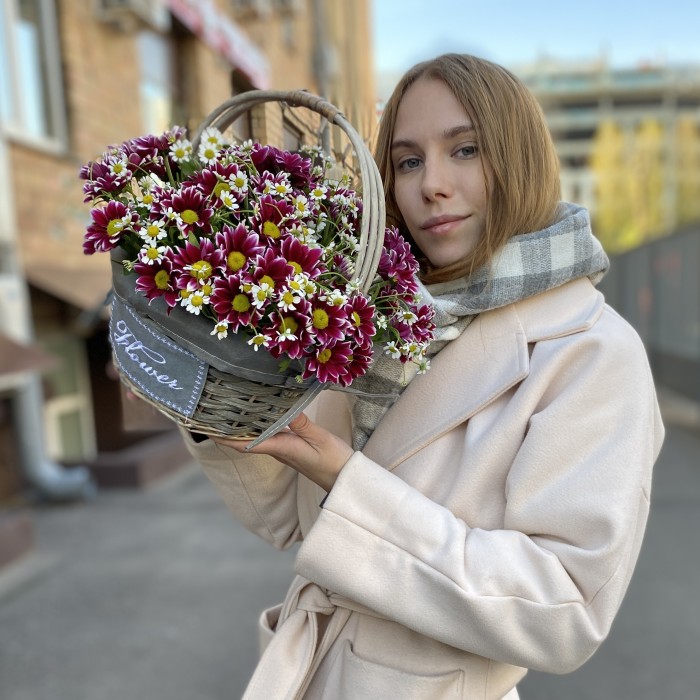 5 кустовых хризантем Хайдар Пинк с ромашкой в корзине