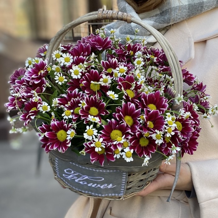 5 кустовых хризантем Хайдар Пинк с ромашкой в корзине