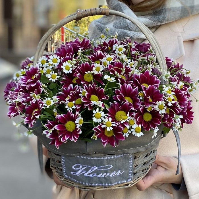 5 кустовых хризантем Хайдар Пинк с ромашкой в корзине