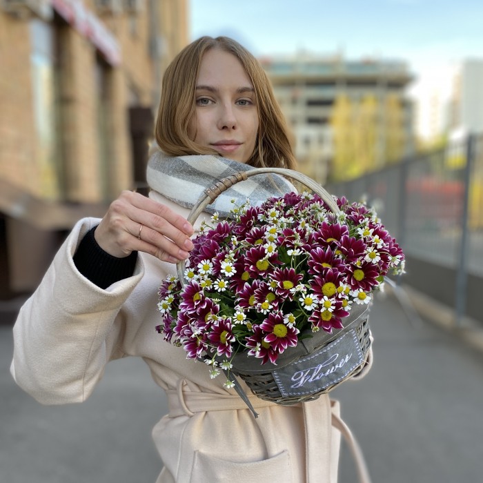 5 кустовых хризантем Хайдар Пинк с ромашкой в корзине