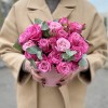 5 кустовых пионовидных роз Леди Бомбастик в коробке