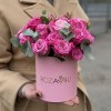 5 кустовых пионовидных роз Леди Бомбастик в коробке