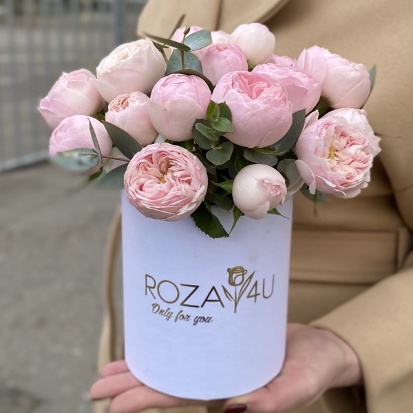 5 кустовых пионовидных роз Мансфилд Парк в коробке